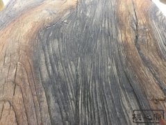 樸之原水泥仿木紋